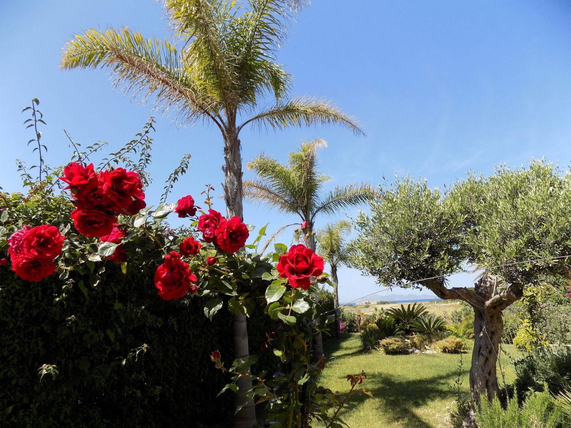- Vista Egadi - Bed & Breakfast Torre Nubia Екстериор снимка
